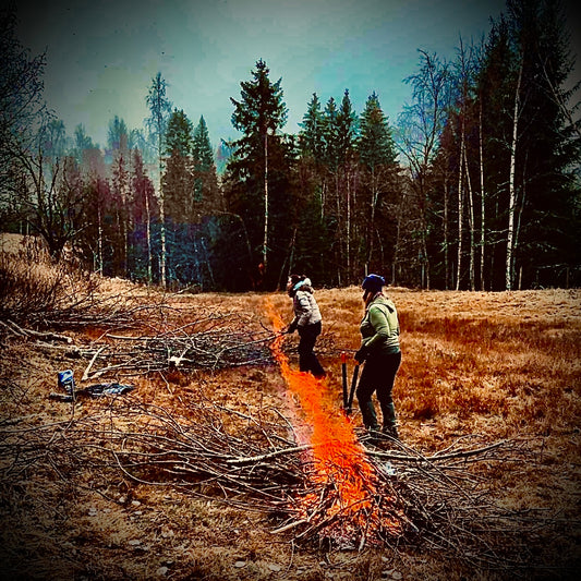 Dugnadsdag i skogen